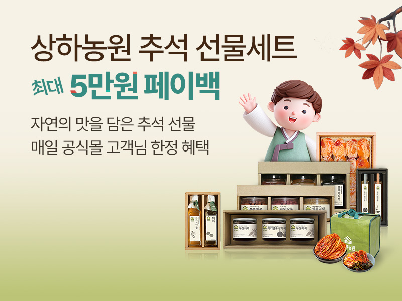매일다이렉트_메인_800x600.jpg