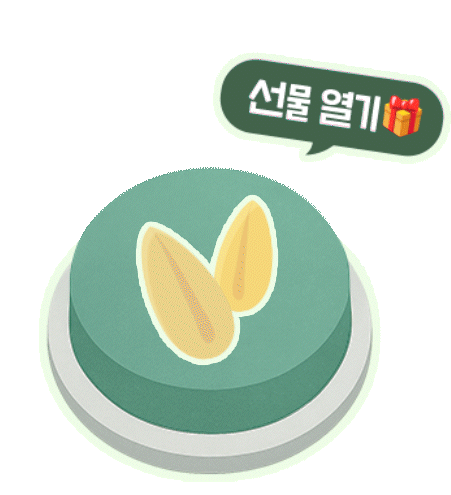 선물 열기